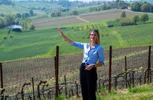 Parmigiano Reggiano Vinegar of Modena tour and lunch in the hills