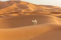3 Days Multi Day Tour from Marrakech to Merzouga Sahara Dunes