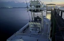 Sebastian Inlet Half-Day Sandbar Charter