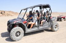 Marsa Allam Quad Safari & Spider Car Adventures