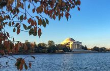 Sherazade's Washington Monuments in Meaning