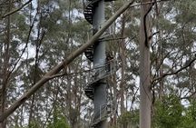 Otway Fly Treetop Walk Waterfalls and Redwood Tour from Melbourne