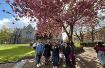 Dublin Literary Walking Tour with Afternoon Tea and Museum Entry