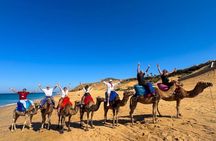 Tangier Street Food & Culture Experience