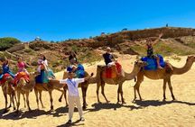Tangier Full-Day Private Tour with Camel Ride Experience