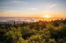Brewed Awakening Cadillac Mountain Sunrise Tour