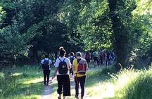 Guided Nature Walk in San Rossore Natural Park