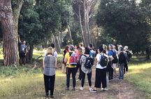 Guided Nature Walk in San Rossore Natural Park