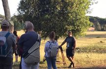Guided Nature Walk in San Rossore Natural Park