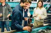 Belfast Bay Cruise with Lobster Rolls Small Group Experience