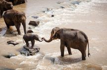 3-Days Masai Mara Migration Experience:Shared 4×4 Jeep Safari