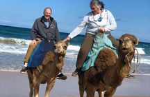 Tangier 4h Private Highlights Tour & Camel Ride Experience