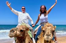 Tangier 4h Private Highlights Tour & Camel Ride Experience