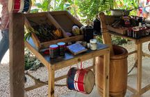ATV and Buggy Tour in Punta Cana with Beach and Cenote