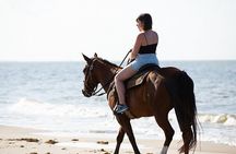 Sharm El Sheikh Horse Riding Beach and Desert Mountain Adventure