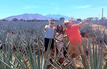 Tequila, Paraíso Azul Giant Swing & Cantaritos El Güero Tour