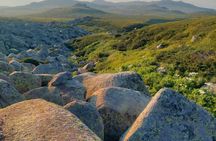 Sofia from above: Vitosha Mountain Nature Hike with Private Guide