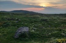 Sofia from above: Vitosha Mountain Nature Hike with Private Guide