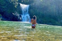 Maui Jungle Hiking Adventure with Waterfalls