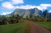 Discovery of the green side of the sacred island and its history