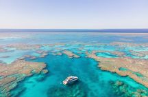 Full Day Snorkel the Great Barrier Reef Cruise From Shute Harbour