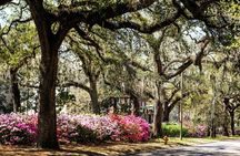 Savannah After Dark A Haunted Donut and Sweet Treats Tour