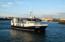 Whale Watching from Akureyri with Roundtrip Transfer