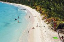 Saona Island VIP Small Group Tour – 4 Beaches & Natural Pool