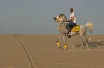 Horseback Riding Tour Siwa Oasis Sahara Desert(Sunset or Sunrise)