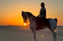 Horseback Riding Tour Siwa Oasis Sahara Desert(Sunset or Sunrise)