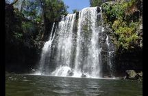 Sloth Wildlife Tour Guanacaste Waterfall Hanging Bridges Nature