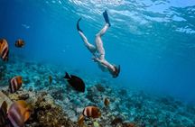 Bali Hai - Castaway Escape Cruise