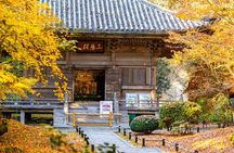 Day Tour from Sendai Matsushima Bay Scenic Highlights