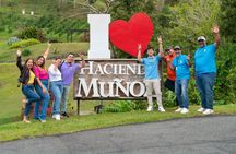 Puerto Rico Coffee Plantation & Waterfall River Tour