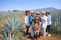 Essence of Agave Discover the Soul of Tequila Tour
