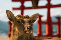 Hiroshima city tour Miyajima & Peace Memorial Park W Small Group