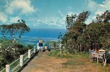 Authentic Exclusive Chamarel Tour visit to 4 Parks and Lunch
