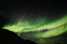 Reykjavik Private Northern Light Tour