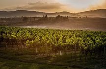 Vino Nobile di Montepulciano winery tour and tasting