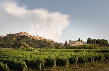 Vino Nobile di Montepulciano winery tour and tasting