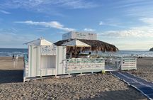 Kamakura Temples and Seaside escape by Private Vehicle from Tokyo