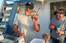 Dolphin & Sealife Cruise at Crazy Sister Marina