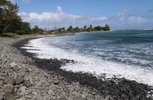 Private South Beach Ride Tour with Seashell World and Lunch