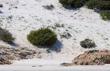 archipelago of La Maddalena by motorboat from S Teresa G