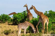 Naivasha Trails with Wildlife Walk and Biking at Hells Gate