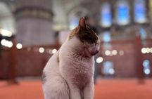 Private Istanbul Tour Old City Highlights with a Licensed Guide