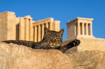 Athens: Acropolis Small Group (Max: 8) Guided Tour
