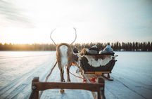 Apukka Reindeer Journey