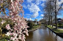 Zaanse Schans and Giethoorn Day Tour with Lunch and Boat Cruise