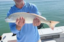 Guided Fishing Charters in Marco Island